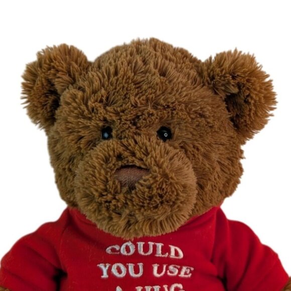 Gund Could You Use A Hug Brown Teddy Bear Plush #16999 Red Hoody 12" Stuffed Toy - Picture 2 of 6